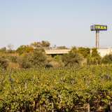 ...ai cui lati si aprono grandi campi coltivati e lunghi filari di vigneti. Un silenzioso e verde luogo situato ai piedi delle statali e a pochi passi dal centro commerciale Ikea, di cui � visibile l�imponente insegna